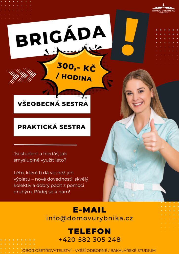 Letní brigáda